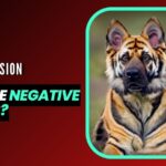 What are negative prompts in stable diffusion?